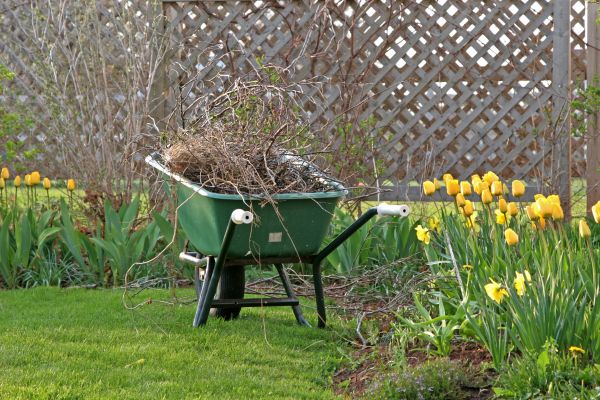 Flower Bed Cleanup Service in Novato