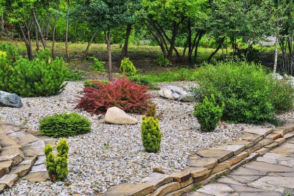 Rock Landscaping in Novato