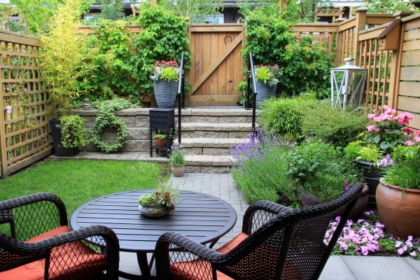 Small Yard Landscaping in Novato