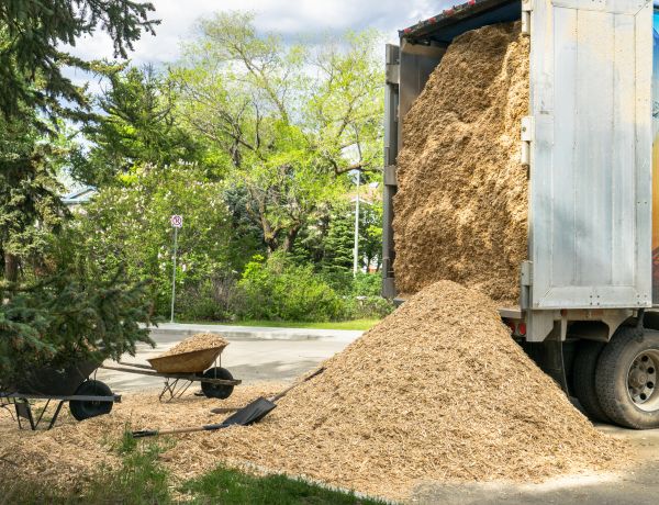 Wood Chips Delivery in Novato