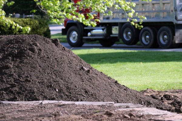 Yard Dirt Delivery in Novato