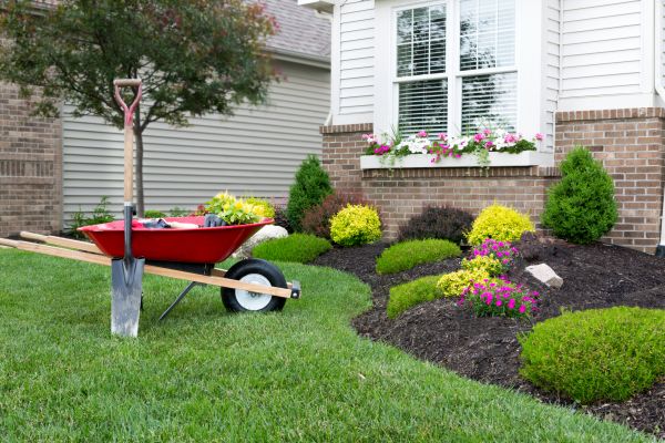 Landscape Maintenance Service in Novato