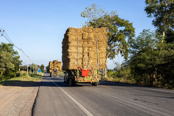 Pine Straw Delivery in Novato