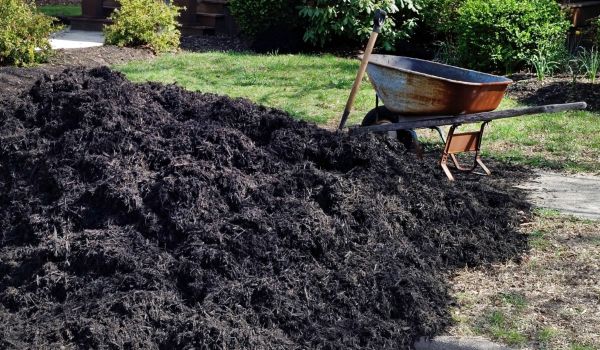 Black Mulch Delivery in Novato