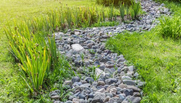 River Rock Garden Installation in Novato