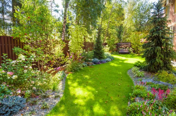 Residential Landscape Service in Novato