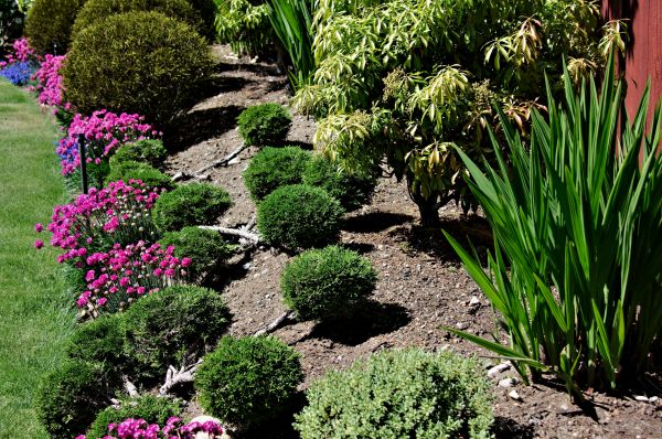 Residential Gardening in Novato