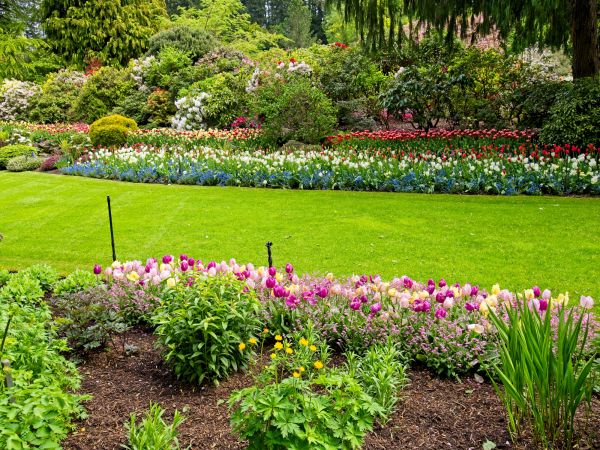 Residential Landscape Design in Novato