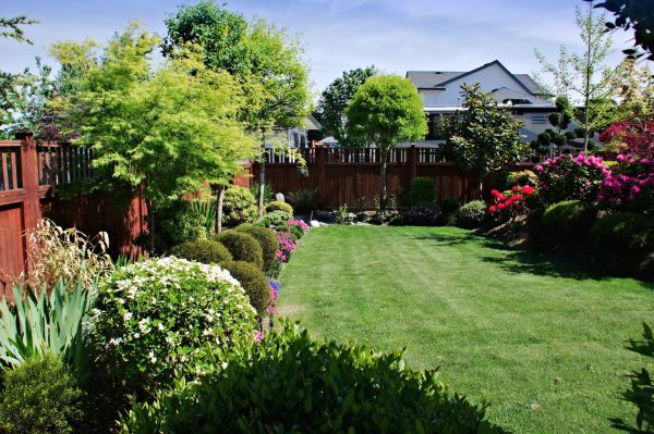 Lawn And Garden Installation in Novato