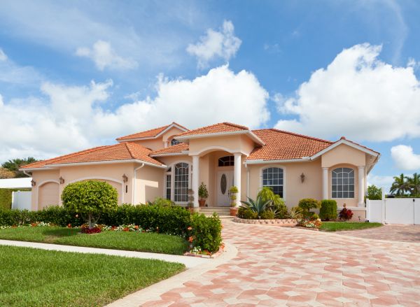 Landscape Curb Appeal Service in Novato