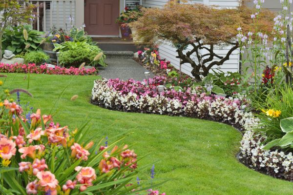 Perennial Landscaping in Novato