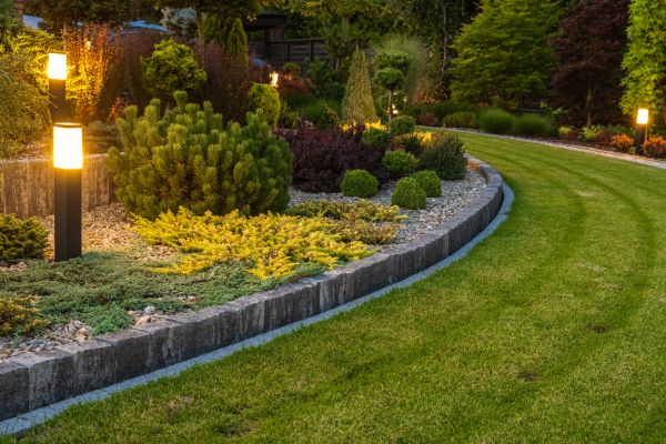 Garden Repair Service in Novato