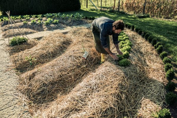 Straw Mulching Service in Novato