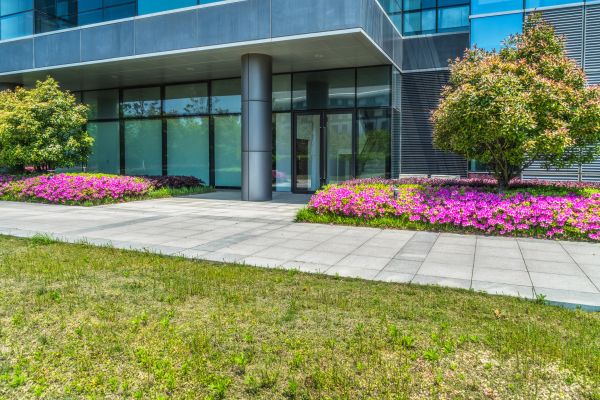 Commercial Gardening in Novato