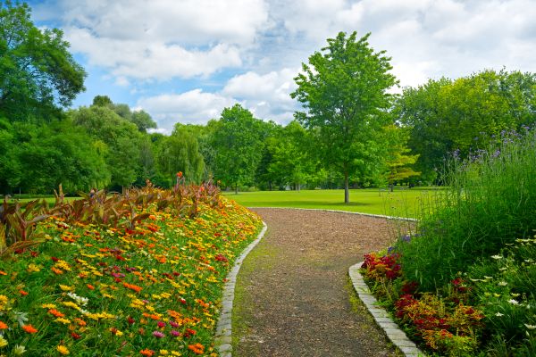 Park Landscaping in Novato