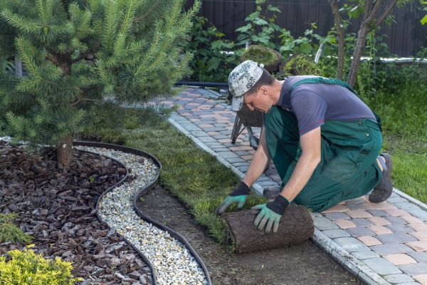 Landscaping Modification in Novato