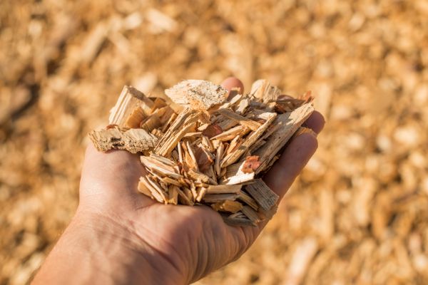 Wood Chips Spreading in Novato
