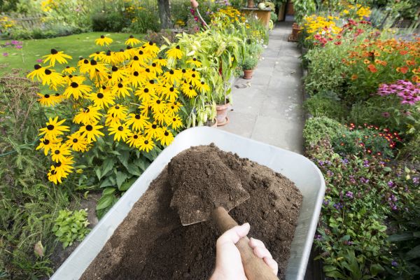 Topsoil Replacement in Novato