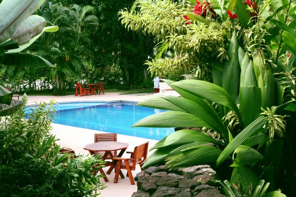 Pool Area Landscaping in Novato