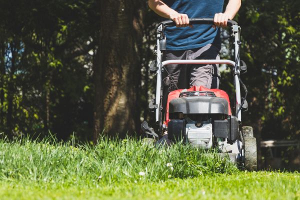 Garden Trimming Service in Novato