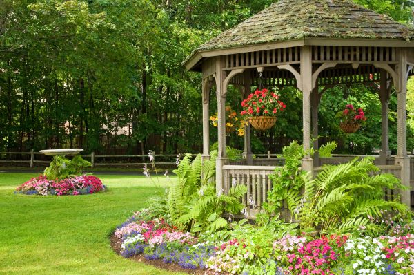 Backyard Landscaping Service in Novato
