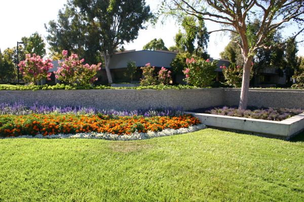 Commercial Landscape Service in Novato