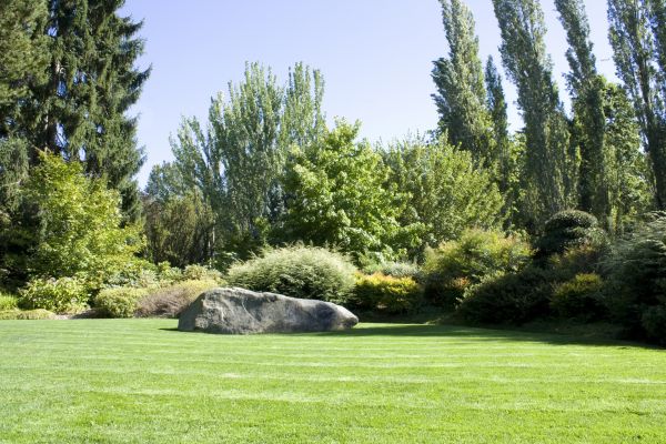 Yard Enlargement in Novato