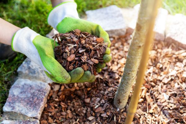 Tree Bark Delivery in Novato