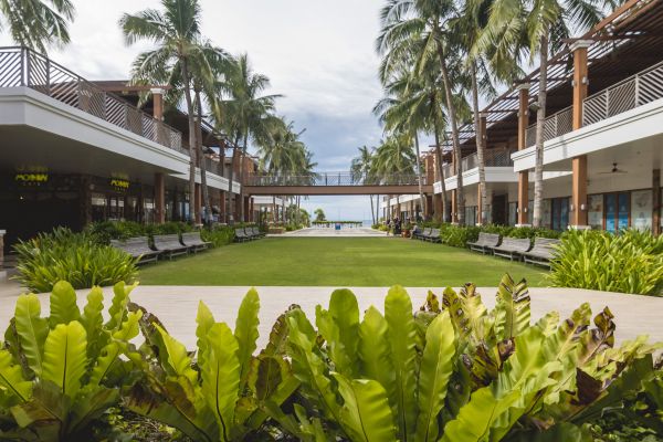 Commercial Lawn Renovation in Novato