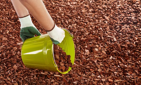 Wood Chip Landscaping in Novato