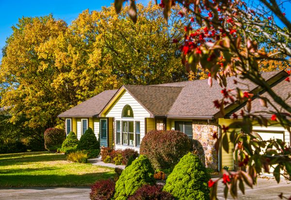 Ranch Landscaping in Novato