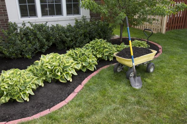 Mulch Installation in Novato