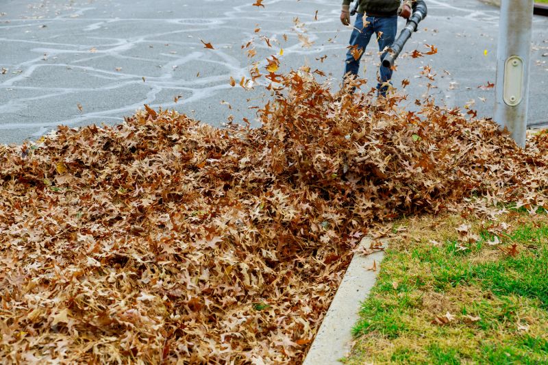 Benefits of Professional Leaf Removal