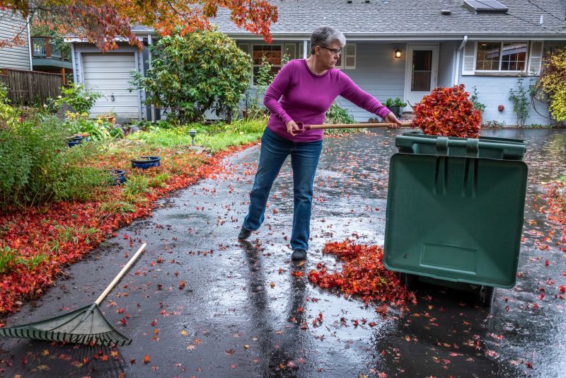 Final Leaf Cleanup