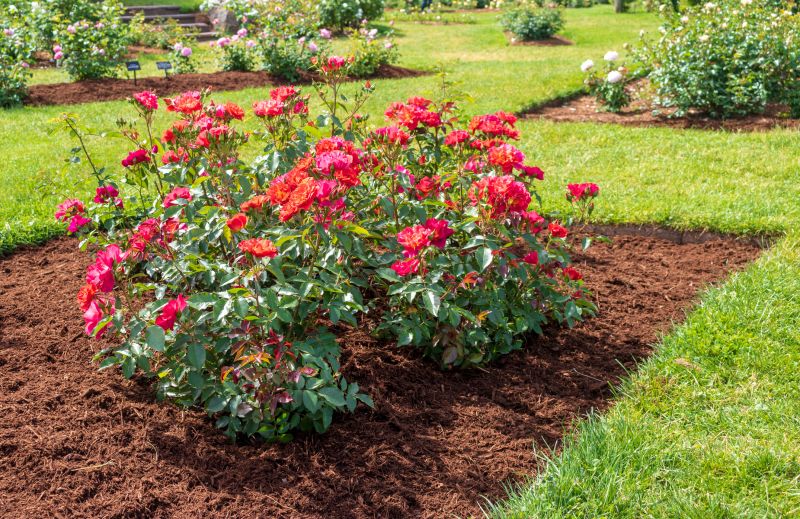 Flower Bed Maintenance