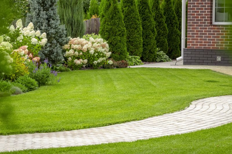 Landscape Design Experts